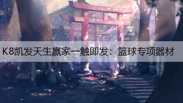 K8凯发天生赢家一触即发：篮球专项器材