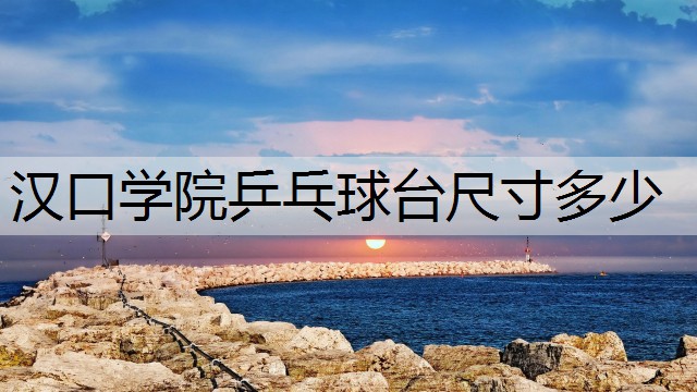 汉口学院乒乓球台尺寸多少