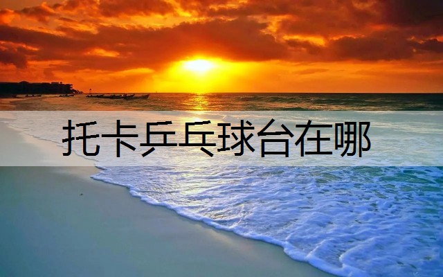 托卡乒乓球台在哪