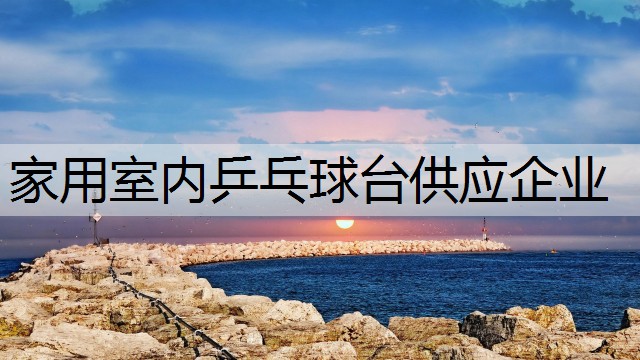 家用室内乒乓球台供应企业