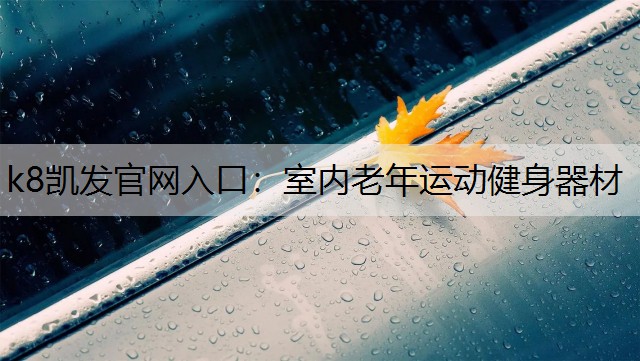 k8凯发官网入口：室内老年运动健身器材