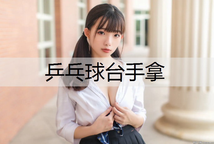 乒乓球台手拿