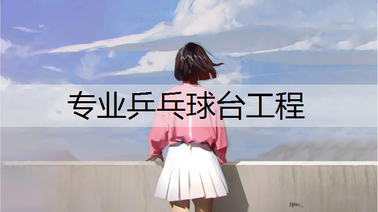 专业乒乓球台工程