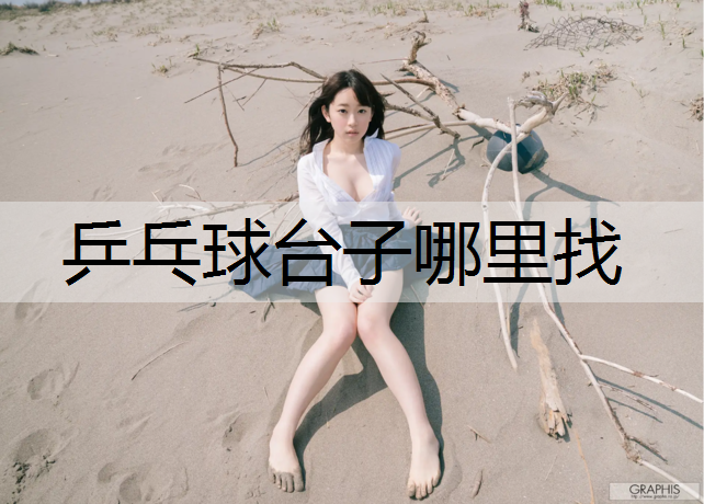 乒乓球台子哪里找