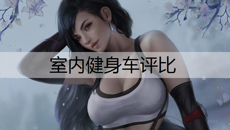室内健身车评比