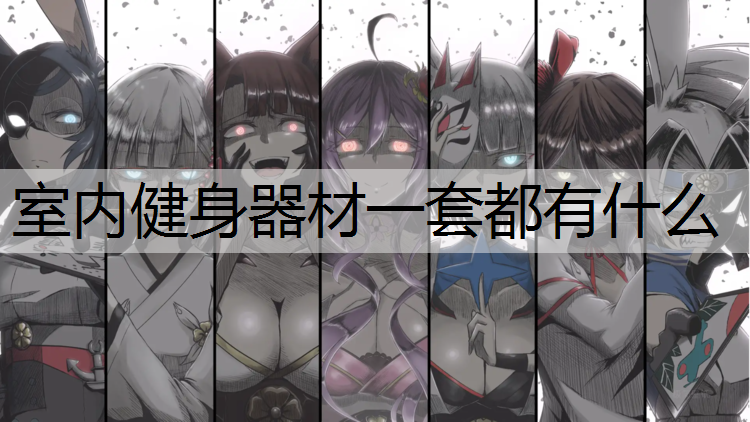 室内健身器材一套都有什么