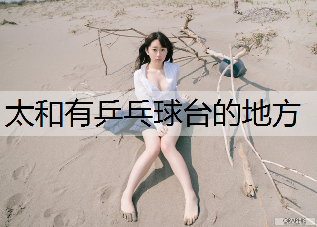 太和有乒乓球台的地方