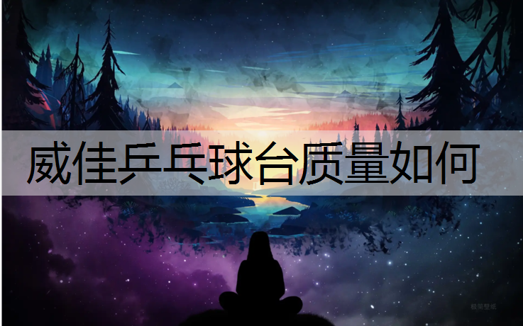 威佳乒乓球台质量如何