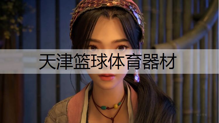 天津篮球体育器材