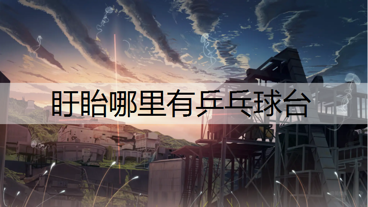 盱眙哪里有乒乓球台