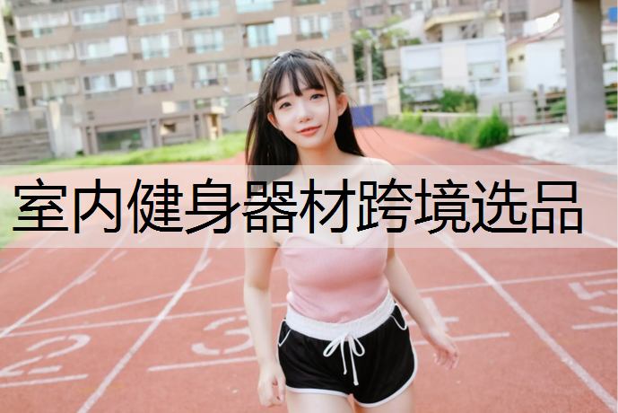 室内健身器材跨境选品
