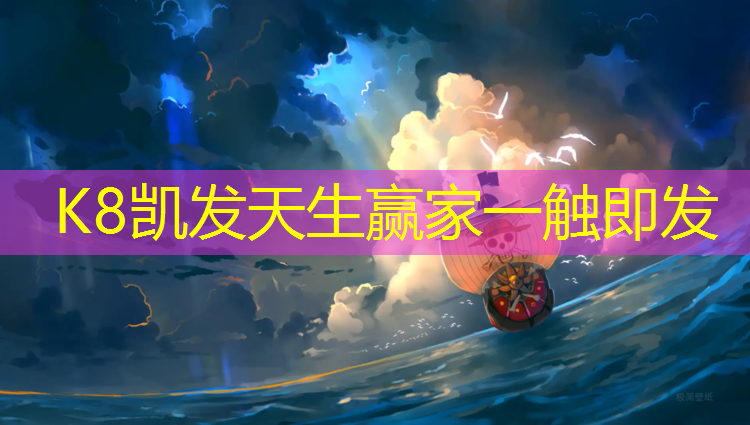 K8凯发天生赢家一触即发：塑胶跑道施断面图