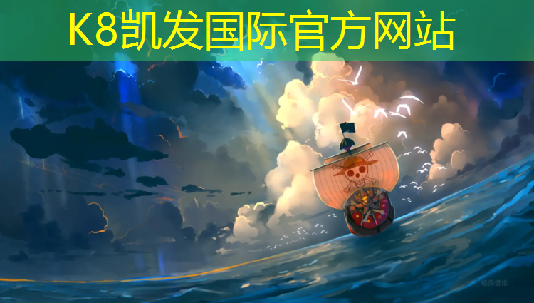 K8凯发天生赢家一触即发：耐磨混合型塑胶跑道