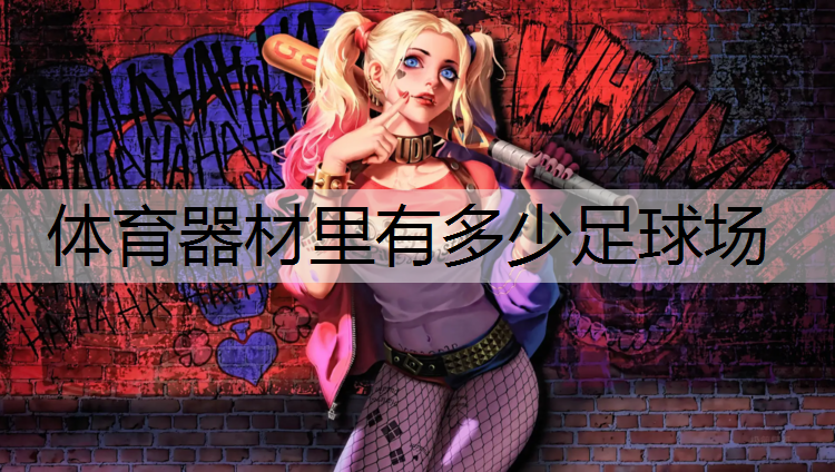 体育器材里有多少足球场