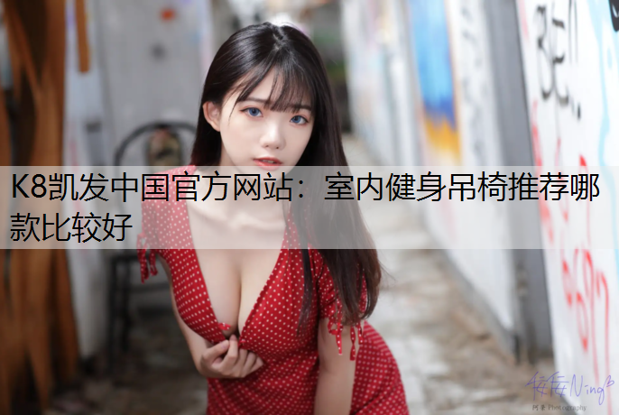 室内健身吊椅推荐哪款比较好