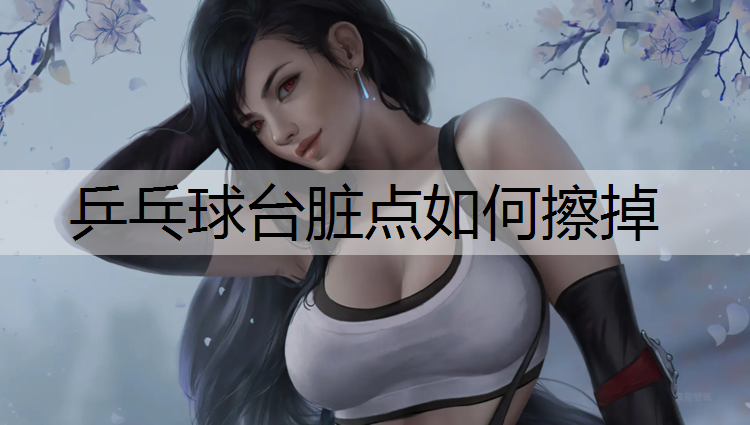 乒乓球台脏点如何擦掉
