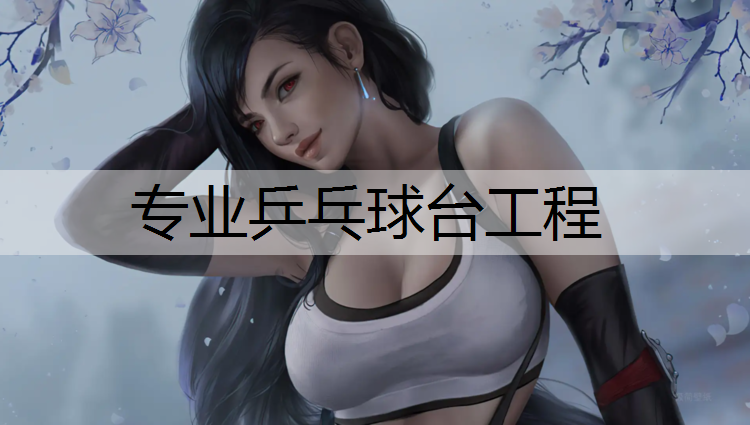 专业乒乓球台工程