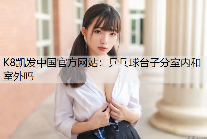 乒乓球台子分室内和室外吗