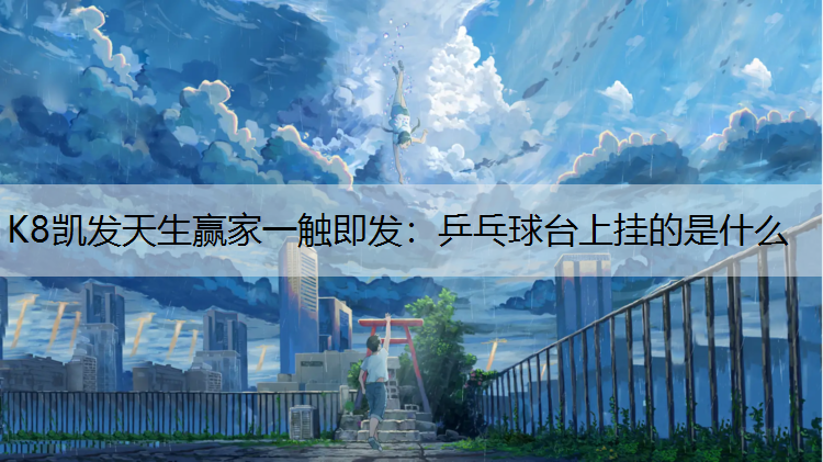 乒乓球台上挂的是什么