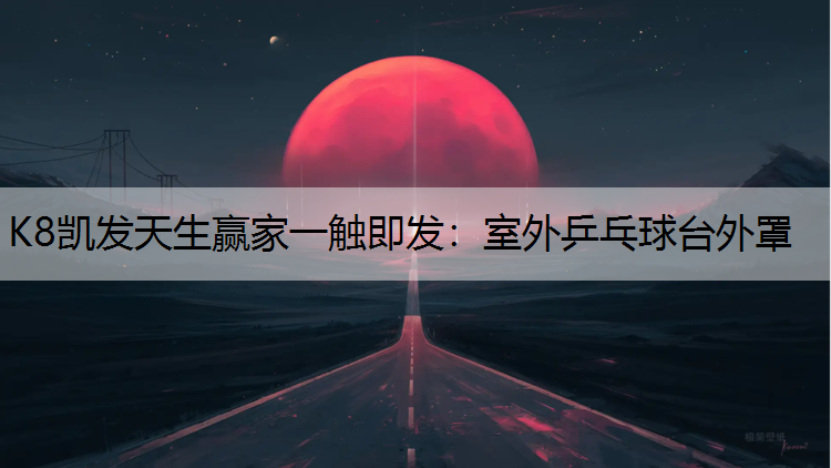 室外乒乓球台外罩