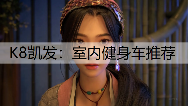 室内健身车推荐