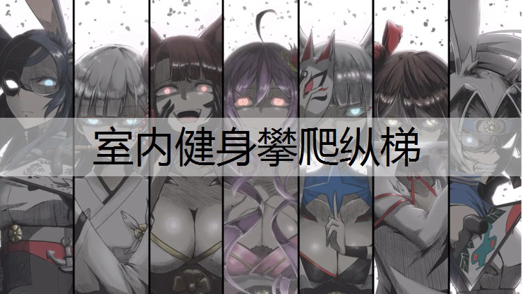 室内健身攀爬纵梯