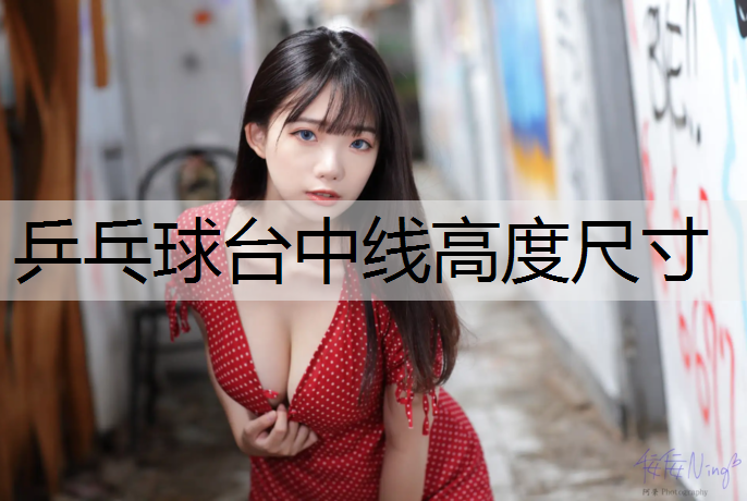 乒乓球台中线高度尺寸