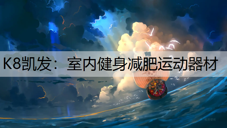 室内健身减肥运动器材