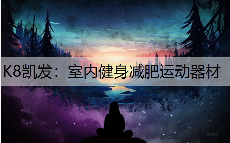 室内健身减肥运动器材