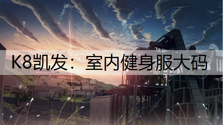 室内健身服大码