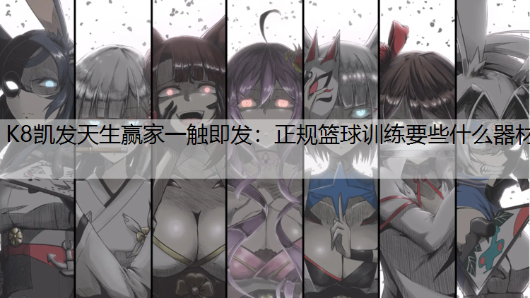 正规篮球训练要些什么器材