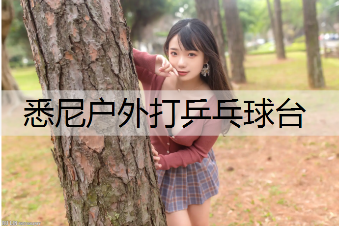 悉尼户外打乒乓球台