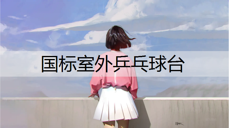 国标室外乒乓球台