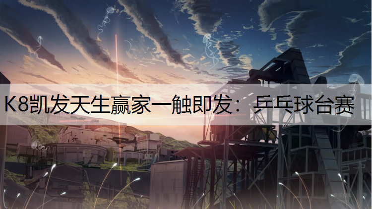乒乓球台赛